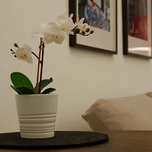 Apartment Near Augarten, Wien